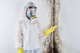 Strathmore, CA Mold Inspection Company